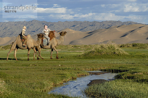 Tourist auf Kamel mit mongolischer Kamelführerin reiten zum Tränken der Kamele an kleinem frischen Flusslauf der durch saftig grüne Graslandschaft vor den großen Sanddünen Khorgoryn Els in der Wüste Gobi mäandert  Gurvan Saikhan Nationalpark  Ömnögov Aimak  Mongolei  Asien