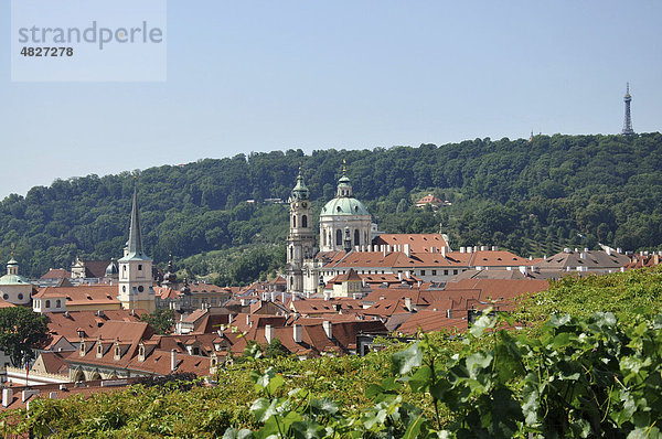 Blick auf Prag vom St. Wenzels-Weingut Svatovaclavska vinice  Altstadt  Prag  Tschechien  Tschechische Republik  Europa