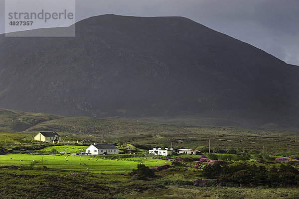 Gemeindeland  Ackerland  Corraun Hill  Achill  County Mayo  Irland  Europa