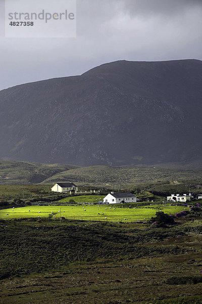 Cottages  Corraun Hill  Achill  County Mayo  Irland  Europa