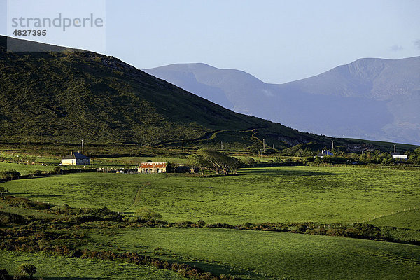 Cottage  Ackerland in der Nähe von Dingle  County Kerry  Irland  Europa