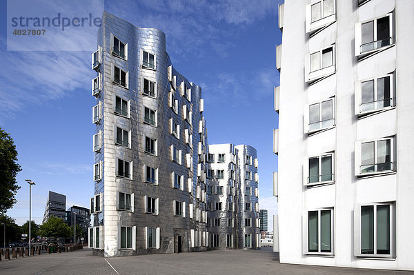 Neuer Zollhof im Medienhafen  Frank O. Gehry  Gehrybauten  Düsseldorf  Nordrhein-Westfalen  Deutschland  Europa