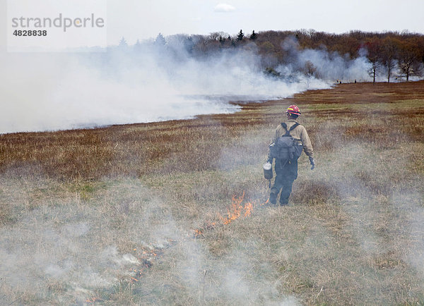 Arbeiter des National Park Service tragen feuerfeste Kleidung um in jedem Frühjahr absichtlich einen Teil der Big Meadows zu verbrennen  um den offenen Blick zu erhalten und das Eindringen von Gehölzen zu verhindern  Shenandoah National Park  Virginia  USA