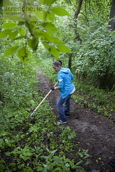 Freiwillige arbeiten an einem Naturlehrpfad  um die invasive Knoblauchsrauke zu entfernen  Eliza Howell Park  Detroit  Michigan  USA