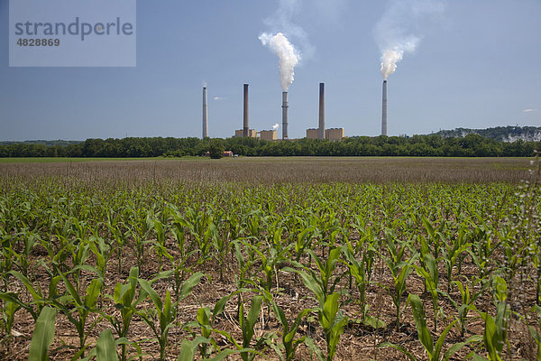 Ghent Kraftwerk  Kohle-Kraftwerk am Ohio River  betrieben von Kentucky Utilities  Maisfeld auf der zu Indiana gehörenden Uferseite vorne  Ghent  Kentucky  USA
