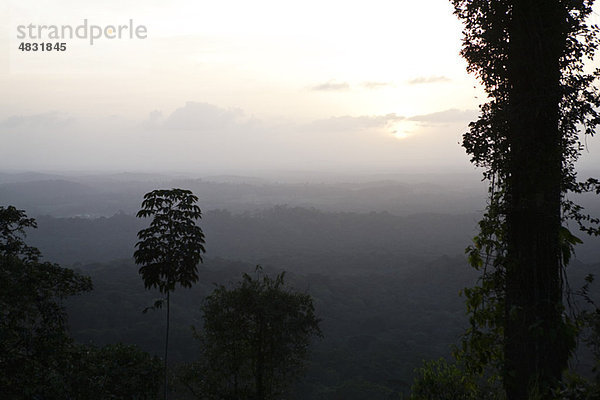 Sonnenaufgang über tropischem Regenwald