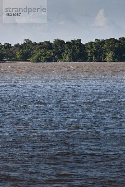 Südamerika  Amazonien  Wasserlandschaft