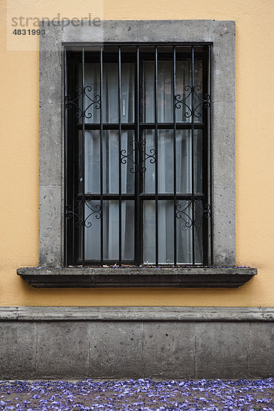 Gitterfenster