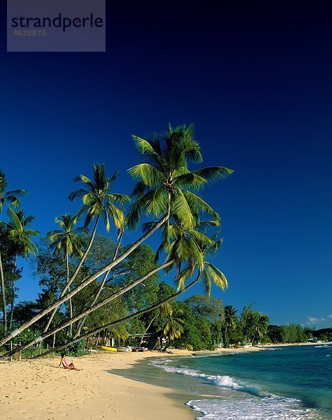 Barbados  Strand  europäischer Abstammung  Urlaub  Isolated  Isolation  Kings Beach  Landmark  Lay  Lügen  Palm  Palmen  Menschen  Relax  Relaxin