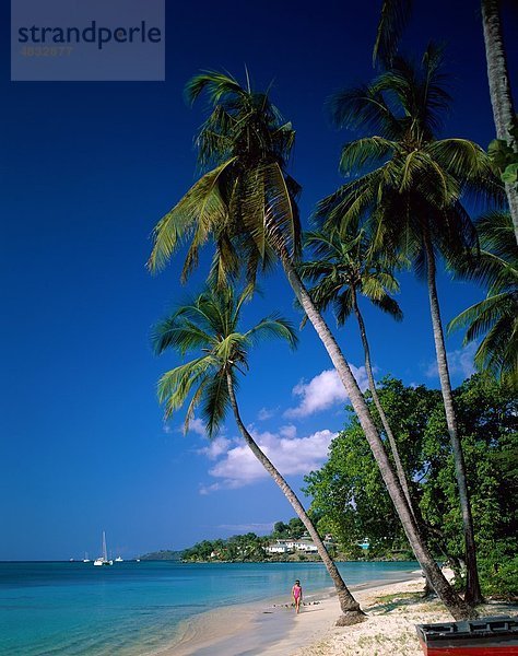 Allein  Anse  Strand  europäischer Abstammung  Grand  Grenada  Urlaub  Insel  Landmark  Palm  Palmen  Menschen  Shore  Tourismus  Reisen  Bäume  Tr