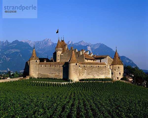 Architektur  Burg  Chateau  D´aigle  Urlaub  Landmark  mittelalterlich  Region  Schweiz  Europa  Tourismus  Reisen  Revolver  Vaca