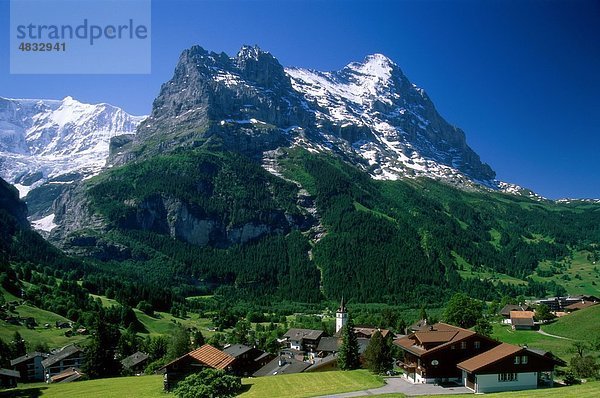 Grindelwald  Holiday  Landmark  Majestic  Berge  Spitzen  Schweiz  Europa  Tourismus  Reisen  Urlaub  Dorf