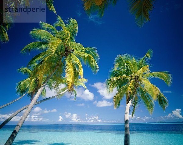 Strand  Wolken  exotische  Urlaub  Horizont  Landmark  Palmen  Paradies  Himmel  Tourismus  Ruhe  Reisen  Bäume  Tropisch  Vacation