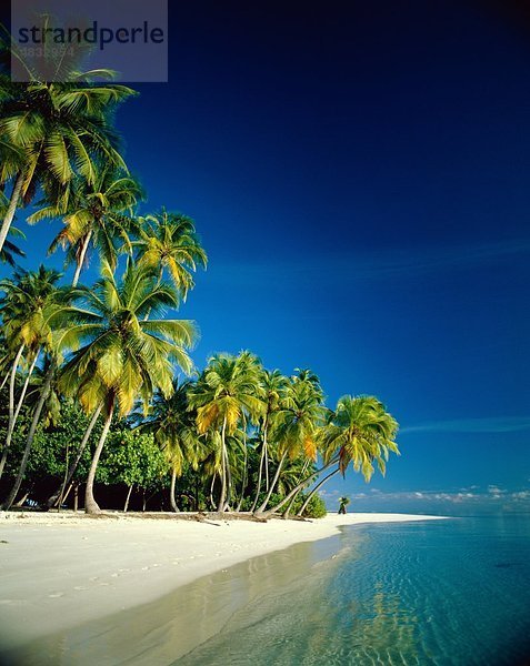 Strand  Küstenlandschaft  exotische  Urlaub  Landmark  Palmen  Paradies  Himmel  Tourismus  Ruhe  Reisen  Bäume  Tropisch  Urlaub  Vaca