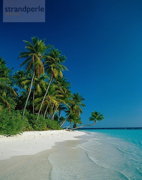 Strand  Büsche  Küstenlandschaft  exotische  Urlaub  Landmark  Palmen  Paradies  Tourismus  Ruhe  Reisen  Bäume  Tropisch  Urlaub  V