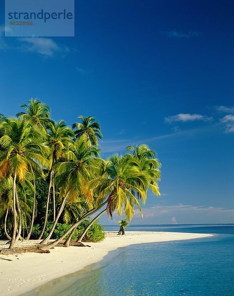 Strand  Küstenlandschaft  exotische  Urlaub  Landmark  Palmen  Paradies  Pflanzen  Serene  Himmel  Tourismus  Ruhe  Reisen  Bäume  Tropical