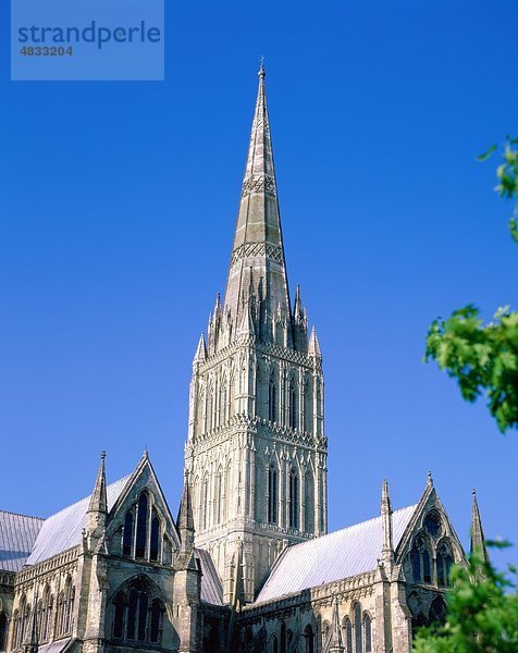 Kathedrale  Kirche  England  Vereinigtes Königreich  Großbritannien  Europa  Urlaub  Landmark  Salisbury  Tourismus  Turm  Travel  Vacation