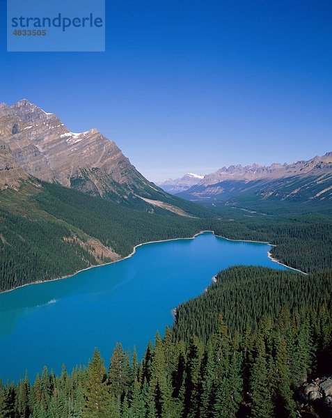 Banff  Alberta Banff-Nationalpark  Kanada  Nordamerika  Wald  Urlaub  See  Landmark  Berge  Peyto Lake  Serene  Tour