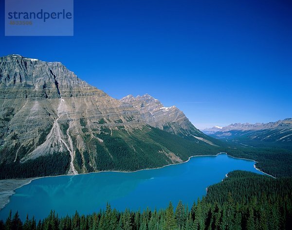 Alberta  Banff  Canada  Nordamerika  Urlaub  See  National orientierungslichter  Berg  Park  Peyto  unberührte  Tourismus  Reisen  Vaca