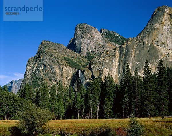 Amerika  Kalifornien  Wald  Urlaub  Landmark  Berge  ruhige  Tourismus  Tranquil  Ruhe  Reisen  Bäume  Vereinigte Staaten