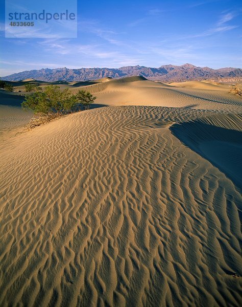 Amerika  Arid  Barren  Kalifornien  Death Valley  Wüste  trocken  Dünen  Urlaub  Landmark  Berge  Sand  Tourismus  Reisen  United