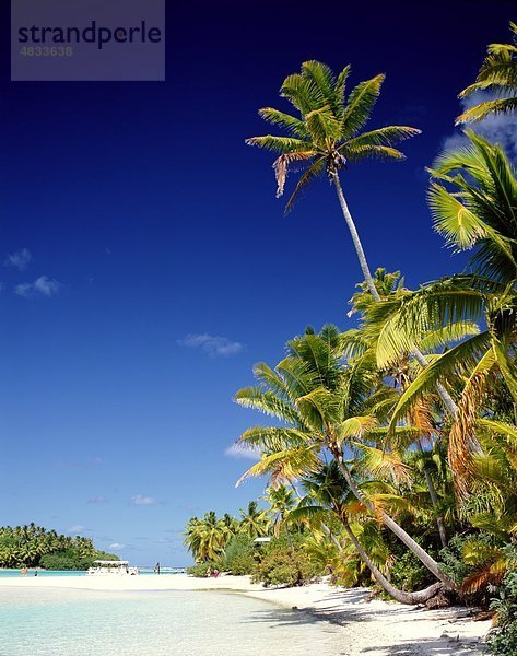 Aitutaki  Atoll  Beach  Cookinseln  Urlaub  Insel  Landmark  Palmen  Polynesien  Sand  Meer  South pacific  Tourismus  Trave