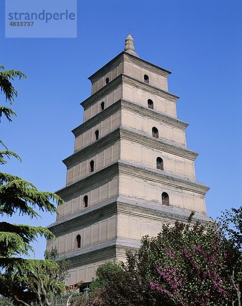 Asien  Big  China  Gans  Holiday  Landmark  Pagode  Provinz Shaanxi  Tang-Dynastie  Tourismus  Reisen  Urlaub  Xian