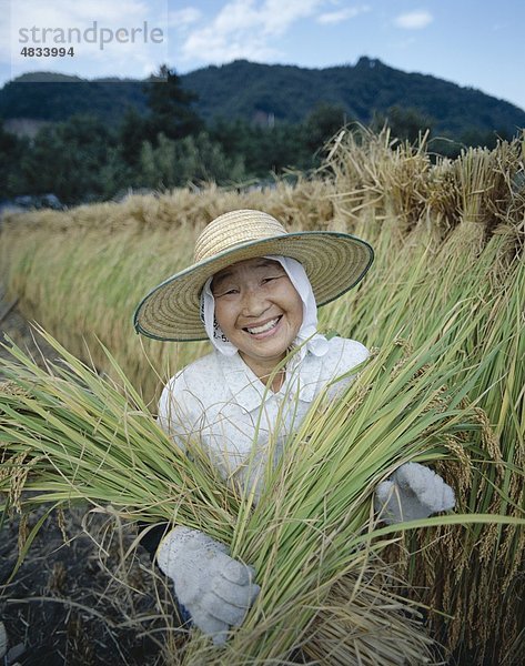 Asien  Landwirtschaft  Ernte  Urlaub  Honshu  Japan  Landmark  Reis  Tourismus  Reisen  Urlaub  weiblich  Präfektur Yamanashi