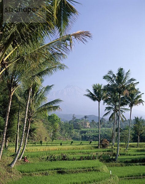 Gunung  Urlaub  Indonesien  Landmark  Lombok  Mount  Reisfelder  Rinjani  Tetebatu  Tourismus  Reisen  Urlaub