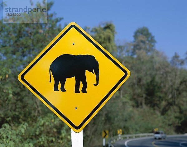 Urlaub Reise Fernverkehrsstraße Zeichen Elefant Sehenswürdigkeit Asien Chiang Mai Signal Thailand Tourismus