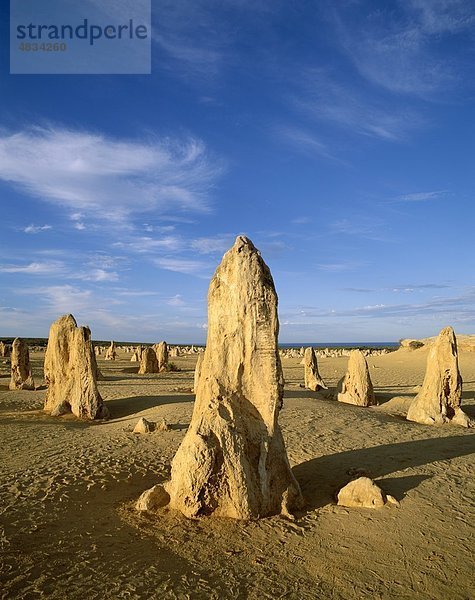 Australien  Cervantes  Urlaub  Landmark  Nambung Nationalpark  Pinnacles  Tourismus  Reisen  Urlaub  Westaustralien