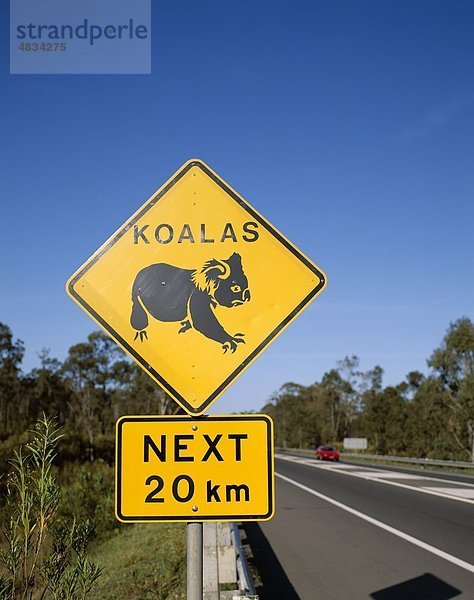 Australien  Holiday  Koala  Landmark  Queensland  Straße  Schilder  Tourismus  Reisen  Ferienhäuser