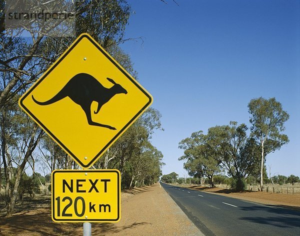 Australien  Urlaub  Känguruh  Landmark  Nordterritorium  Straße  Schilder  Tourismus  Reisen  Urlaub