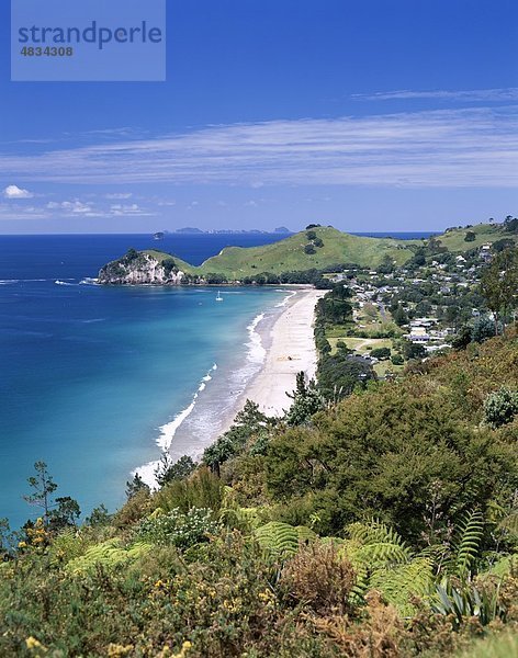 Strand  Coromandel  Coromandel-Halbinsel  Hahei  Urlaub  Landmark  Neuseeland  North Island  Tourismus  Reisen  Urlaub