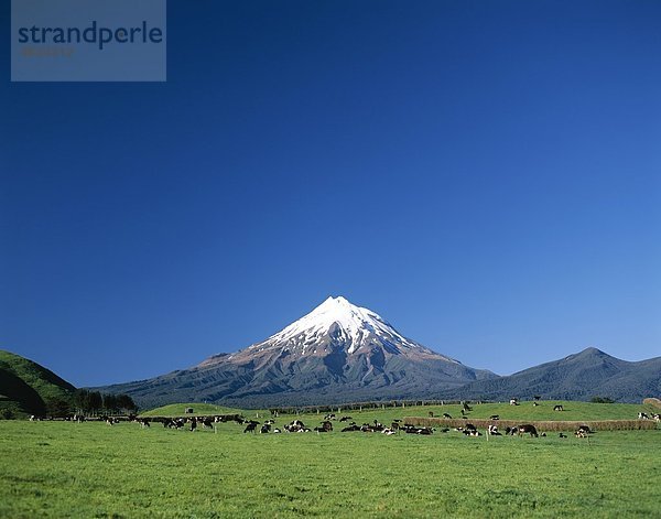 Egmont  Urlaub  Landmark  Mount  Mount Egmont  Nationalpark  Neuseeland  Nord-Island  Park  Taranaki  Tourismus  Reisen  Vacati