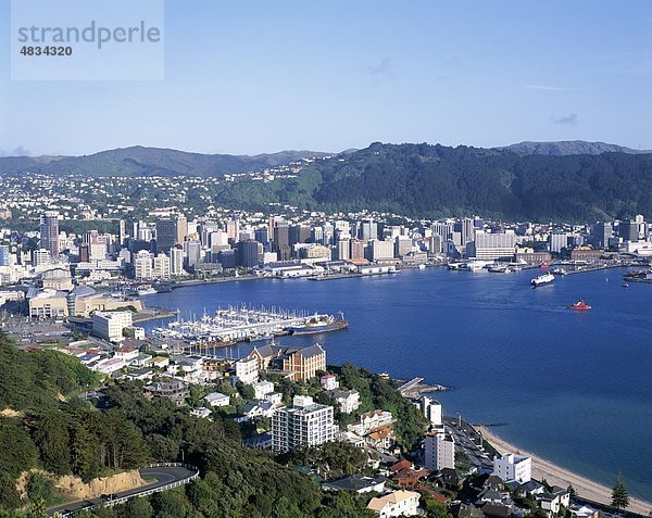 Stadt  Hafen  Urlaub  Landmark  Neuseeland  Nord-Island  Skyline  Tourismus  Reisen  Urlaub  Wellington