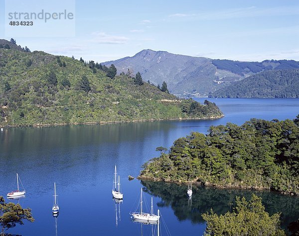 Holiday  Landmark  Marlborough  Marlborough sounds  New Zealand  Queen Charlotte sound  Südinsel  Tourismus  Reisen  Urlaub