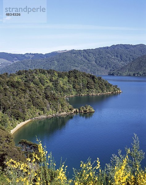 Holiday  Landmark  Marlborough  Marlborough sounds  New Zealand  Queen Charlotte sound  Südinsel  Tourismus  Reisen  Urlaub