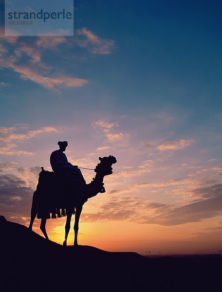 Camel  Ägypten  Afrika  Giza  Urlaub  Landmark  Mann  Silouhette  Sonnenaufgang  Tourismus  Reisen  Urlaub