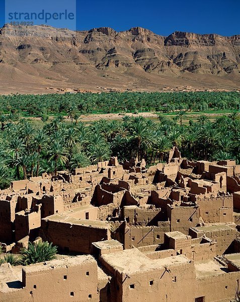 Draa  Urlaub  Landmark  Marokko  Afrika  Palmen  Tourismus  Reisen  typisch  Urlaub  Tal  Dorf