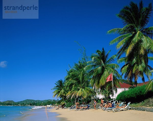 Strand  Urlaub  Karibik  Landmark  Lucia  Palmen  Reduit  Sand  Meer  Tourismus  Reisen  Ferienhäuser