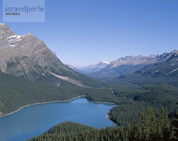 Banff  Alberta Banff-Nationalpark  Kanada  Nordamerika  Urlaub  Landmark  Peyto Lake  Rocky Mountains  Tourismus  Reisen  Urlaub