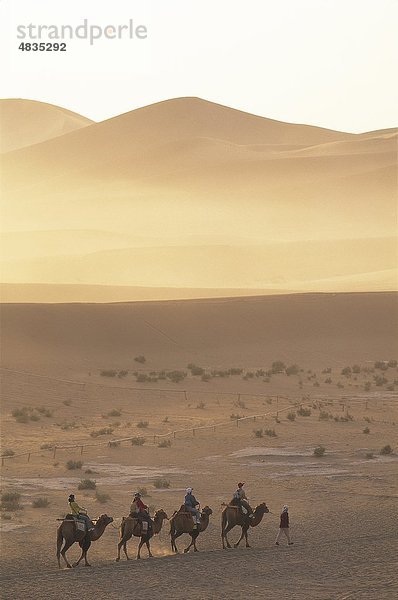 Asien  Camel  Kamele  China  Wüste  Dune  Dünen  Dunhuang  Gansu  Holiday  Landmark  Mingshan  Mount  Provinz  Reiten  Sand  Si