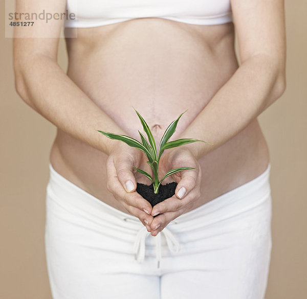 Schwangerschaftsbuckel mit Pflanze