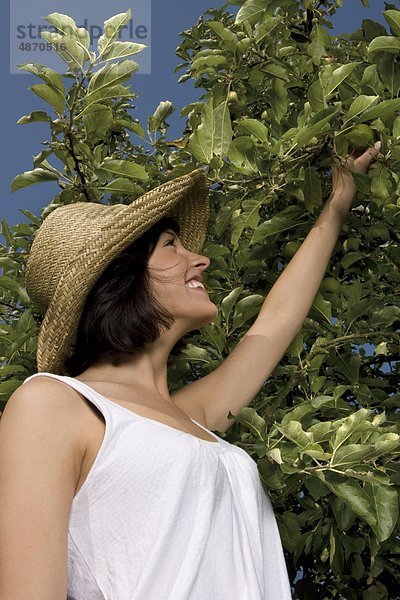 Junge Frau pflückt einen Apfel vom Baum