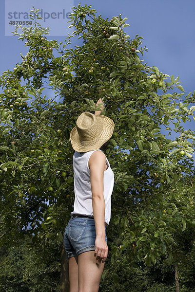 Junge Frau pflückt einen Apfel vom Baum