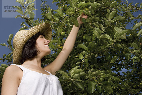 Junge Frau pflückt einen Apfel vom Baum