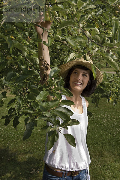 Junge Frau pflückt einen Apfel vom Baum