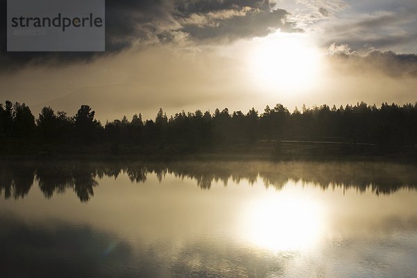 Forest reflektieren in Lake bei Sonnenaufgang