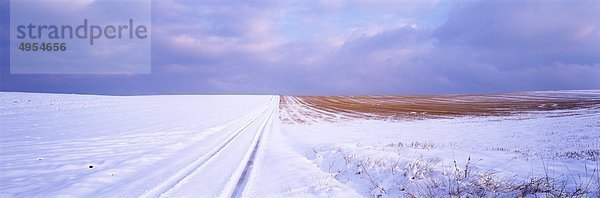 Ansicht von Schnee bedeckt Feld